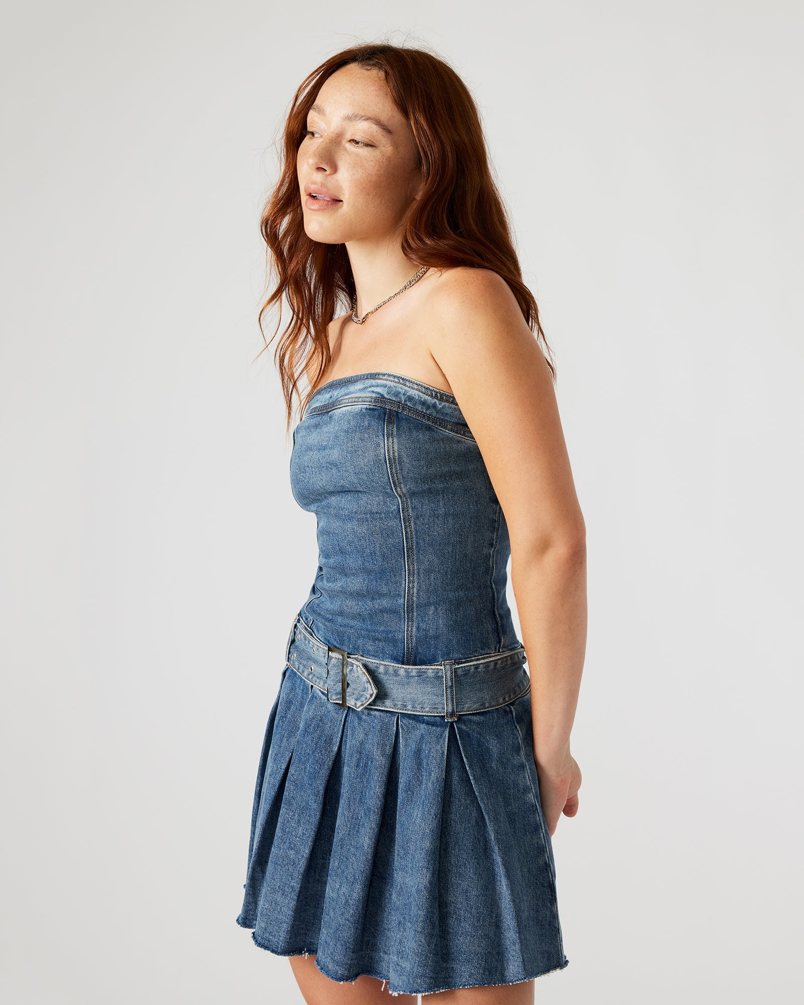 Richie Denim Dress